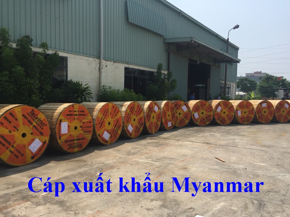 Cap XK Myanmar 1